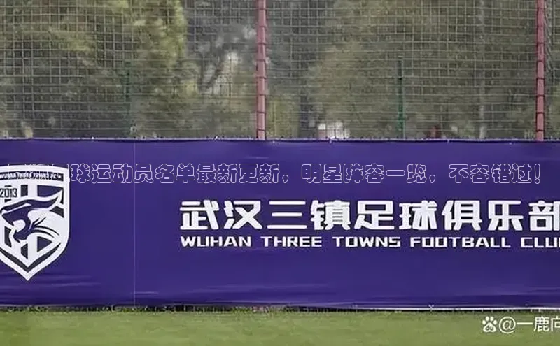 凯时k8国际官网下载中文在线灵狐足球运动员名单最新更新，明星阵容一览，不容错过！