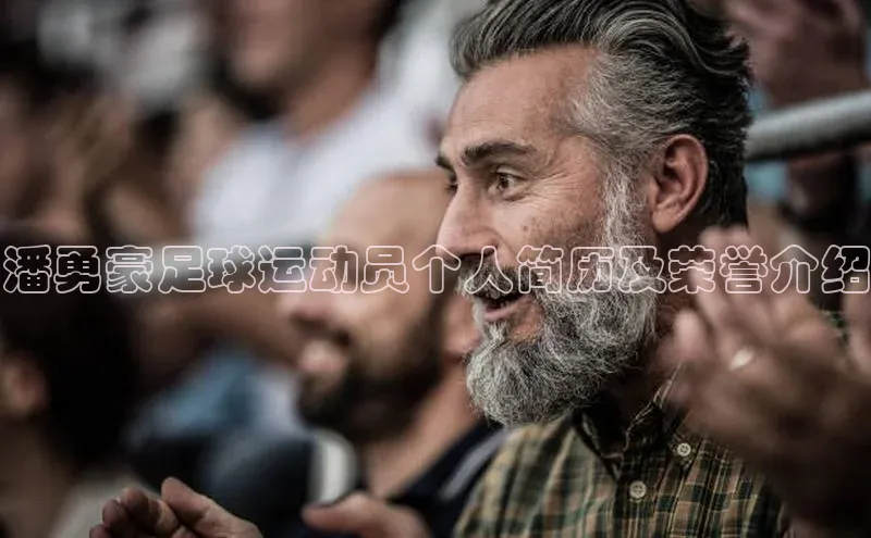 K8凯发(中国)天生赢家·一触即发猫眼潘勇豪足球运动员个人简历及荣誉介绍