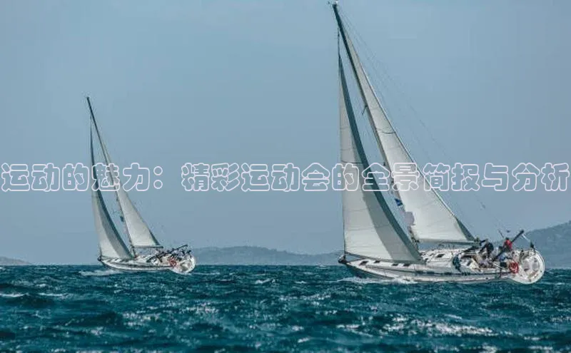运动的魅力：精彩运动会的全景简报与分析