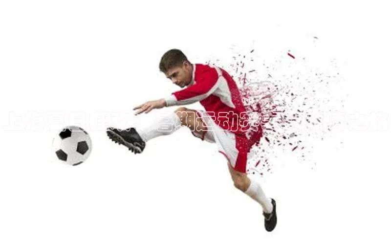 上海夏日狂欢：暑期运动赛事的激情之旅