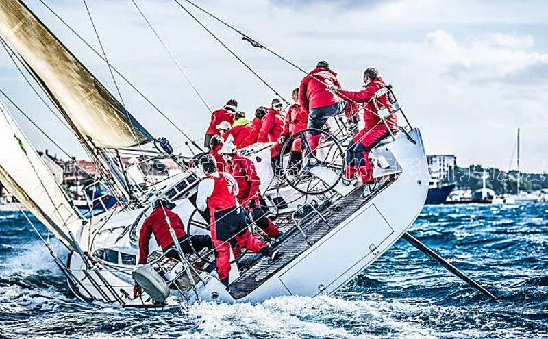 智动盛宴：全国智力运动赛事网的精彩瞬间与深度