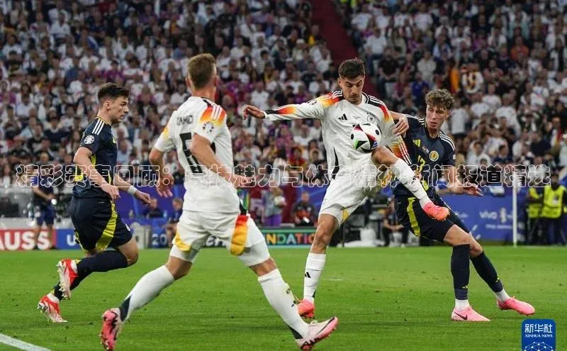 精彩赛事回顾：竞技魅力与体育精神-新闻报道精选