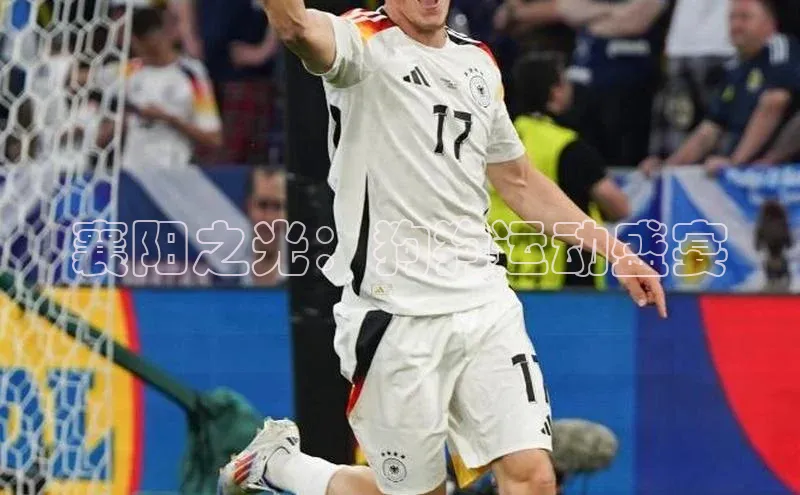 襄阳之光：狗狗运动盛宴