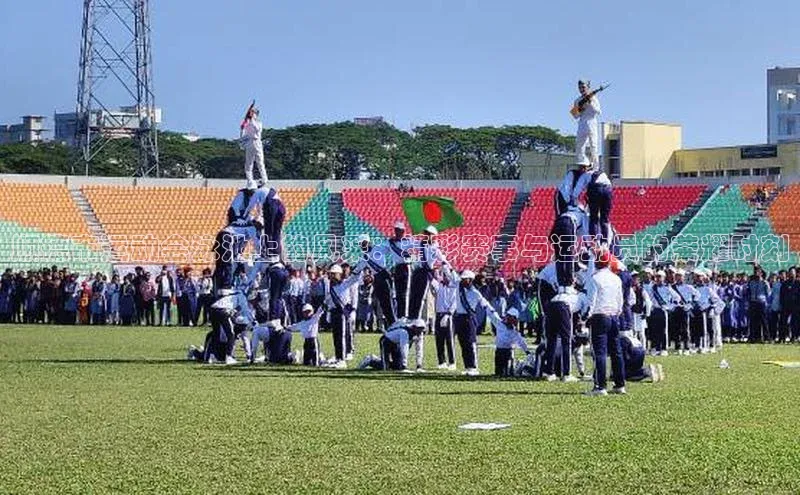 顺德市运动会泳池上的风采：精彩赛事与运动员的荣耀时刻