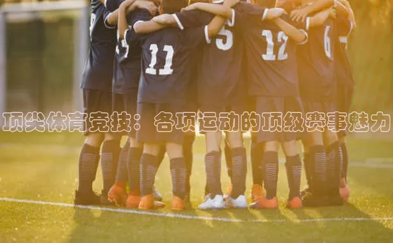 顶尖体育竞技：各项运动的顶级赛事魅力